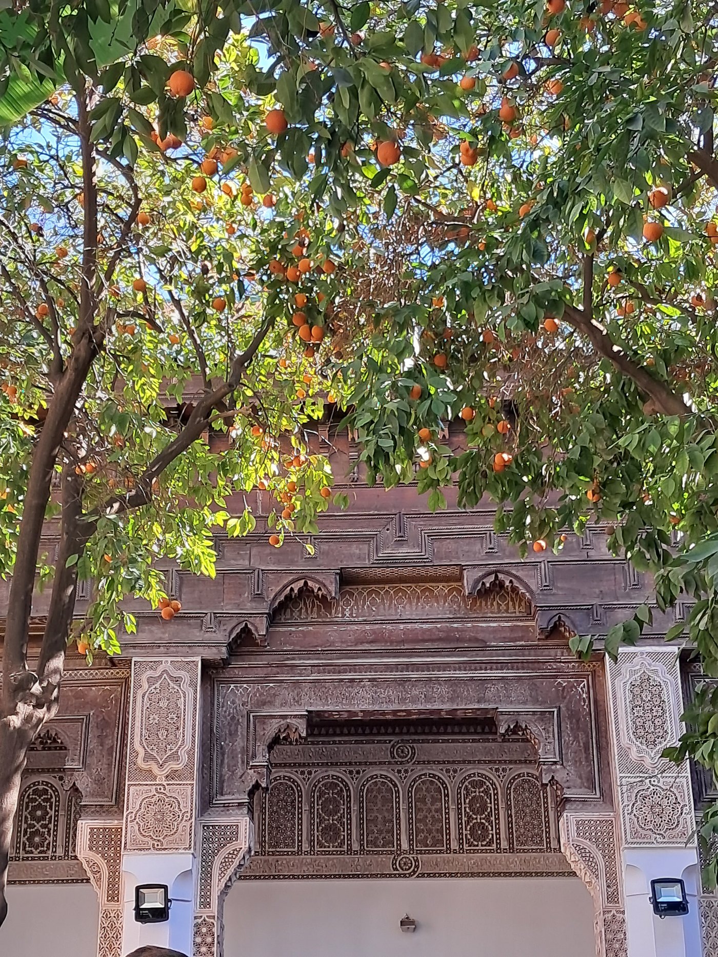 A carved cedar doorway at the Bahia Palace, Marrakech, framed in greenery